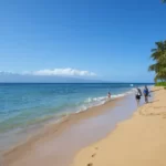 A Complete Guide to Kaanapali Beach Public Parking: 7 Places